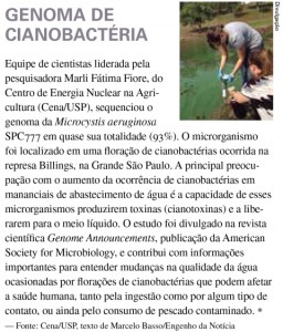 Revista XXI_n5_pag 6