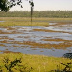 Lagoa da Região