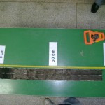 Testemunho sedimentar pronto para amostragem e análises
