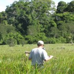 Ecótono Campo - Floresta