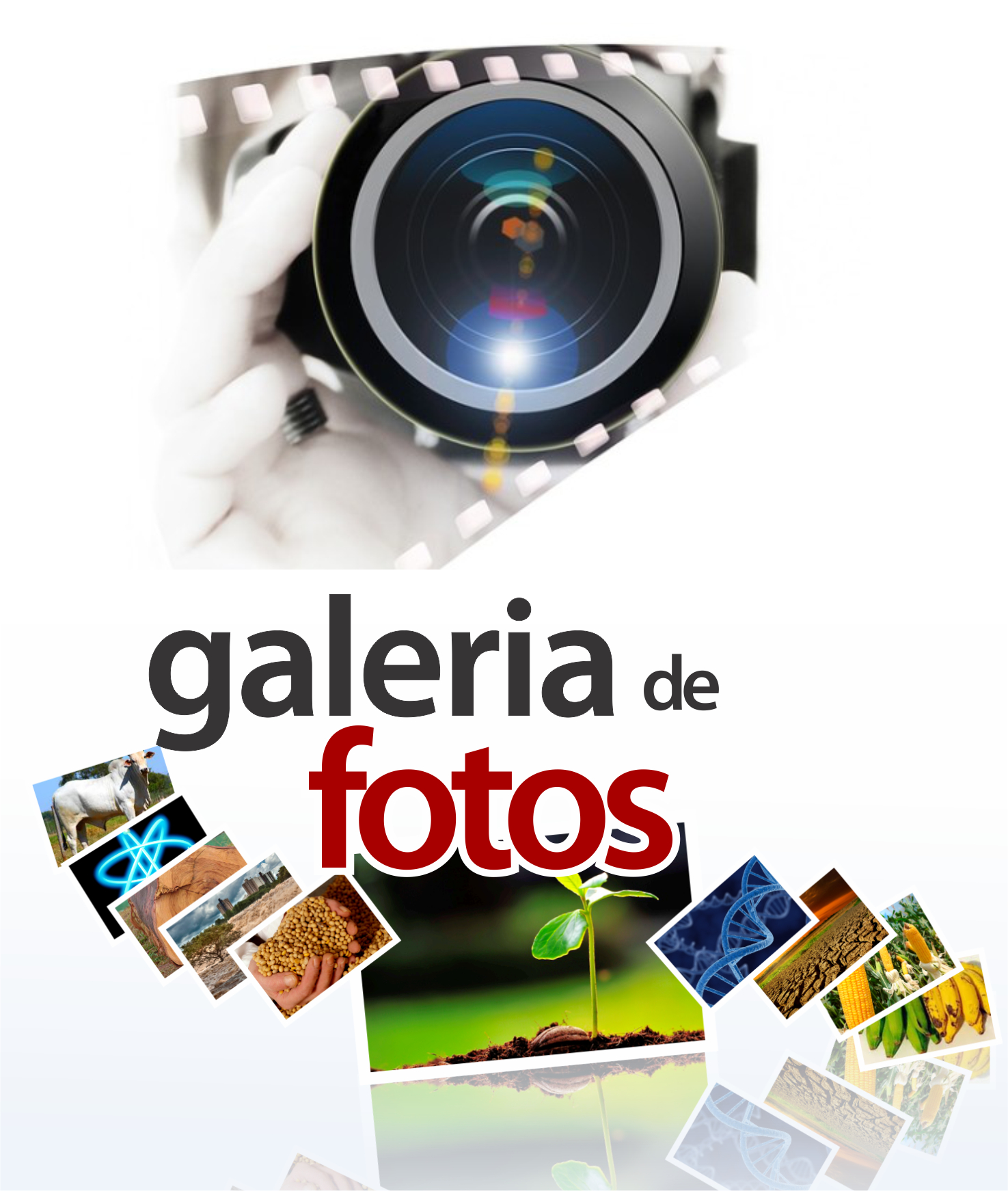 galeria fotos